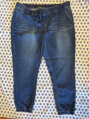 Copper Flash midrise Women's Dark Blue Drawstring Jogger Jeans 20W